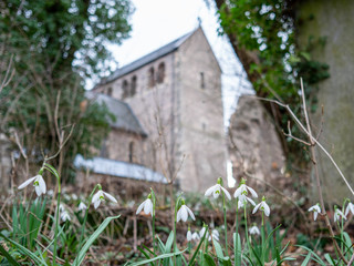 Schneeglöckchen vor Kirche