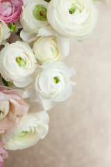 Elegance ranunculus bouquet on the sparkling background. Beautiful and tender flowers composition. Perfectly for Birthday, Women's and Valentine's Day, Anniversary. Copyspace. Top view.
