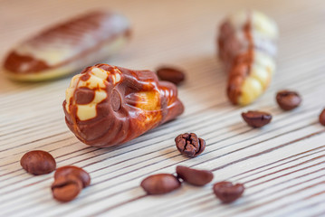 Swiss chocolate shaped shells on a dark wooden background.