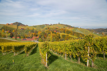 Fototapeta na wymiar Herbst in der Steiermark