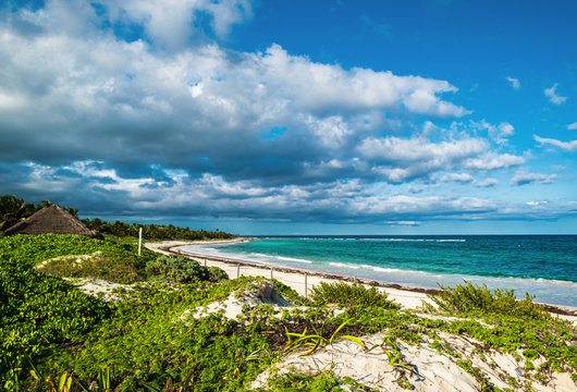 Tropical Xcacel beach on the the Caribbean Sea coast. Marine turtles reserve. Quintana Roo, Mexico.