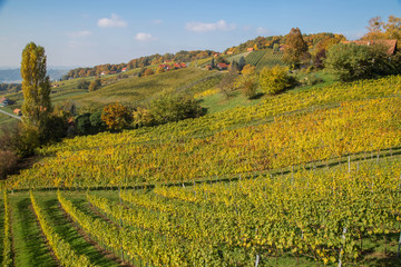 Herbst in der Steiermark