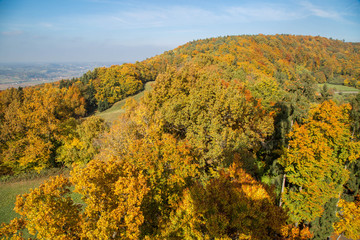 Obraz premium Herbst in der Steiermark
