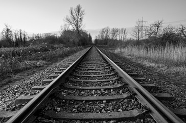 Fototapeta premium Railway lines and nature in a rural area. Black and white landscape, transportation concept