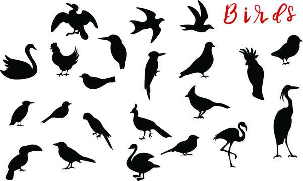 Birds, animal silhouette vector design elements on white background. Concept for icon, logo, print , cards 