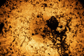 A floor lamp with dirt on it