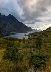 Fototapeta na wymiar mountains at the fjord