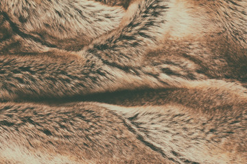 Naklejka na ściany i meble Faux fur similar to fox fur