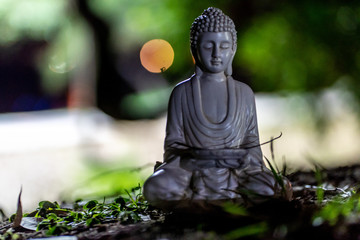 buddha statue in calm rest pose 