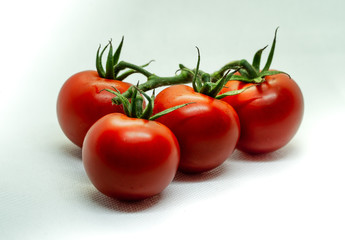 branch of tometoes isolated background