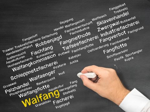 Walfang