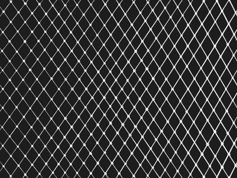 Net Illustration mesh for use as illustrations isolated.