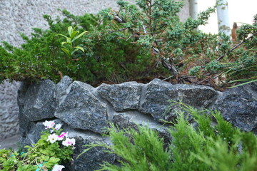 waterfall in its own courtyard in the summer against the backdrop of nature where pink lily blooms around and stones