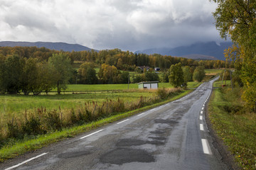 Fototapeta premium Road in norway