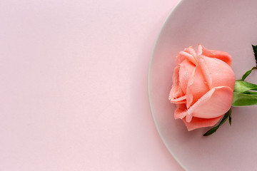 Beautiful bouquets of fresh spring flowers