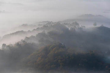 Wine Road, Svečina, Slovenia