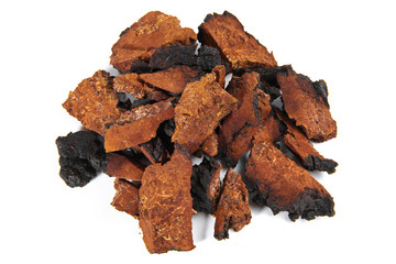 Chaga Mushroom Isolated Pieces - Natural Minerals