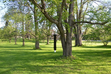 black bird feeder hanging from tree branch