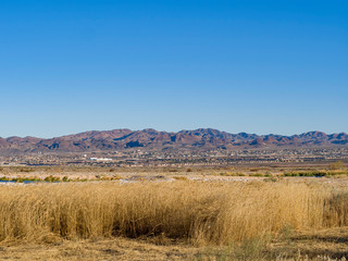 Nature scene of the Wetlands Park