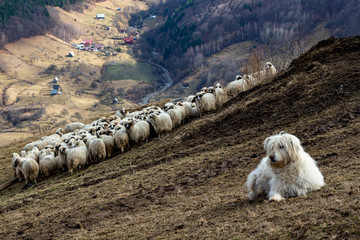  Work in the mountains
