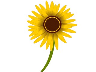 Sunflower on an Isolated Background, Digital Art
