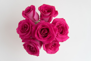 Bouquet of pink roses on a white background.