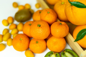 Tropical fruits in bulk: orange, mandarin, kumquat, kiwi. Fresh fruits, food on a white background.
