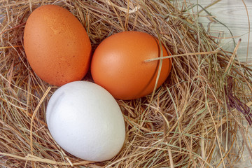 Two brown and one white chicken eggs in a nest of straw on a wooden background.