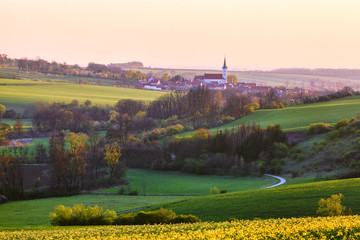 Meadow of yellow flowers. Beautiful sun rays enlighten the waley and fields. Small town with nice church. South Moravian Region Czech Republic. Nice spring landscape. Rural scenery.