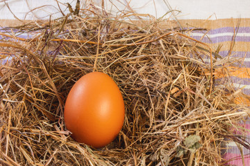 One brown chicken egg in a nest of straw on a striped towel.