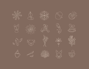 Set natural flat signs brown