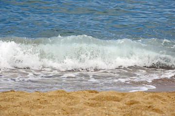 Fototapeta premium Sea wave rolls on the coastline of a sandy beach, summer holiday, vacation.