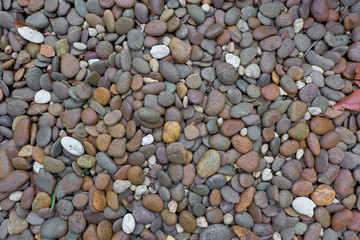 pebbles on the beach
