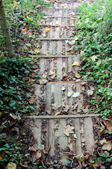 Top view of improvised homemade steps made from old used roof tiles partially covered with fallen leaves surrounded with uncut grass and dense forest vegetation