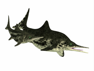 Fototapeta premium Stenopterygius Mother and Calf - Stenopterygius was an marine reptile that swam in the seas of Europe during the Jurassic Period.