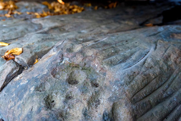 Petroglyphs of the Bronze Age of Yamnaya culture