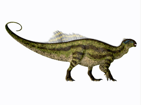 Tenontosaurus Dinosaur Side Profile - Tenontosaurus was an ornithopod herbivorous dinosaur that lived in North America during the Cretaceous Period.