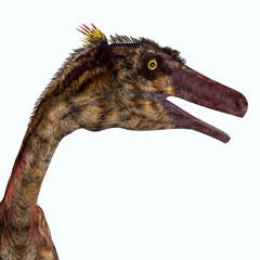 Troodon Dinosaur Head - Troodon was a carnivorous theropod dinosaur that lived in North America during the Cretaceous Period.