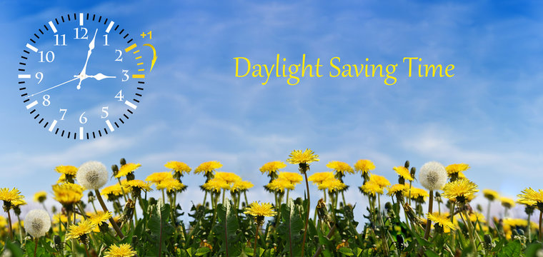 Summer Daylight Saving Time (DST). Blue sky with yellow dandelions. Turn time forward (+1h).