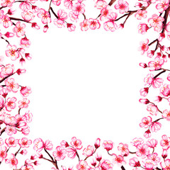 Obraz na płótnie Canvas Watercolor floral sakura frame. Spring cherry blossom border, isolated on white.