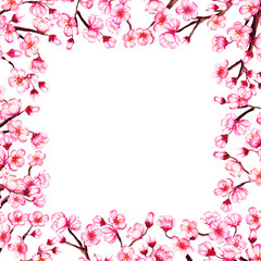 Watercolor floral sakura frame. Spring cherry blossom border, isolated on white.