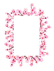 Watercolor floral sakura frame. Spring cherry blossom wreath, isolated on white.