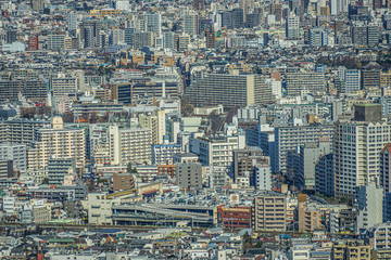 東京都庁の展望台から見える東京の街並み