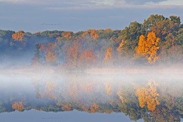 Foggy autumn landscape at sunrise of West Three Lakes with Canada geese, Michigan, USA