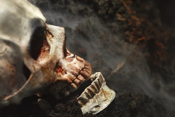 Skull of a dead man in on the ground