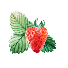Watercolor red juicy strawberry with leaves. Hand drawn food illustration. Fruit print. For postcards, packages, cards, logo, pattern, label, desserts. Summer sweet and bright fruits and berries.
