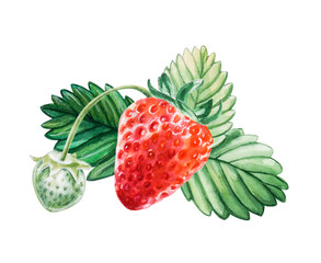 Watercolor red juicy strawberry with leaves. Hand drawn food illustration. Fruit print. For postcards, packages, cards, logo, pattern, label, desserts. Summer sweet and bright fruits and berries.
