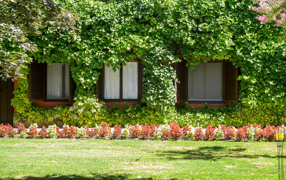 fachada de un edificio con las ventanas rodeadas de plantas