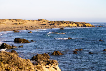  Elephant seals on the beach and ocean waves