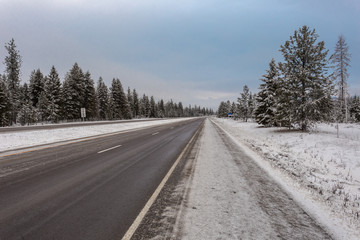 Empty highway surrounded by snow and evergreen trees bends around a corner on a clear morning